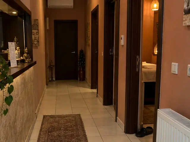 Fayans zeminli, halılı salon koridoru — Bostan, Masaj Salonun